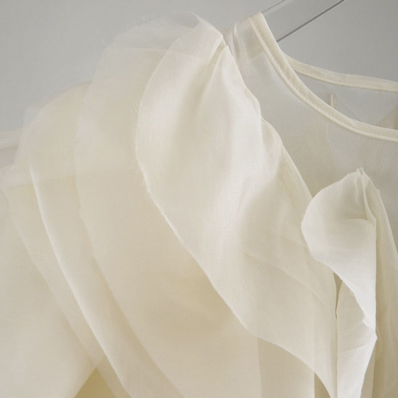 Ruffles Chiffon Blouse