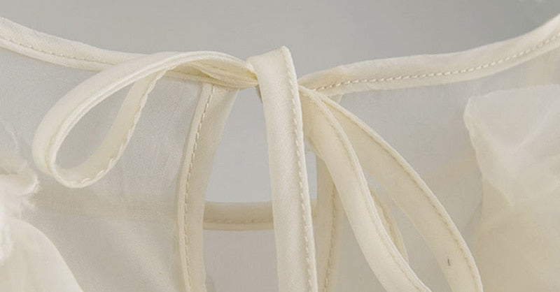 Ruffles Chiffon Blouse