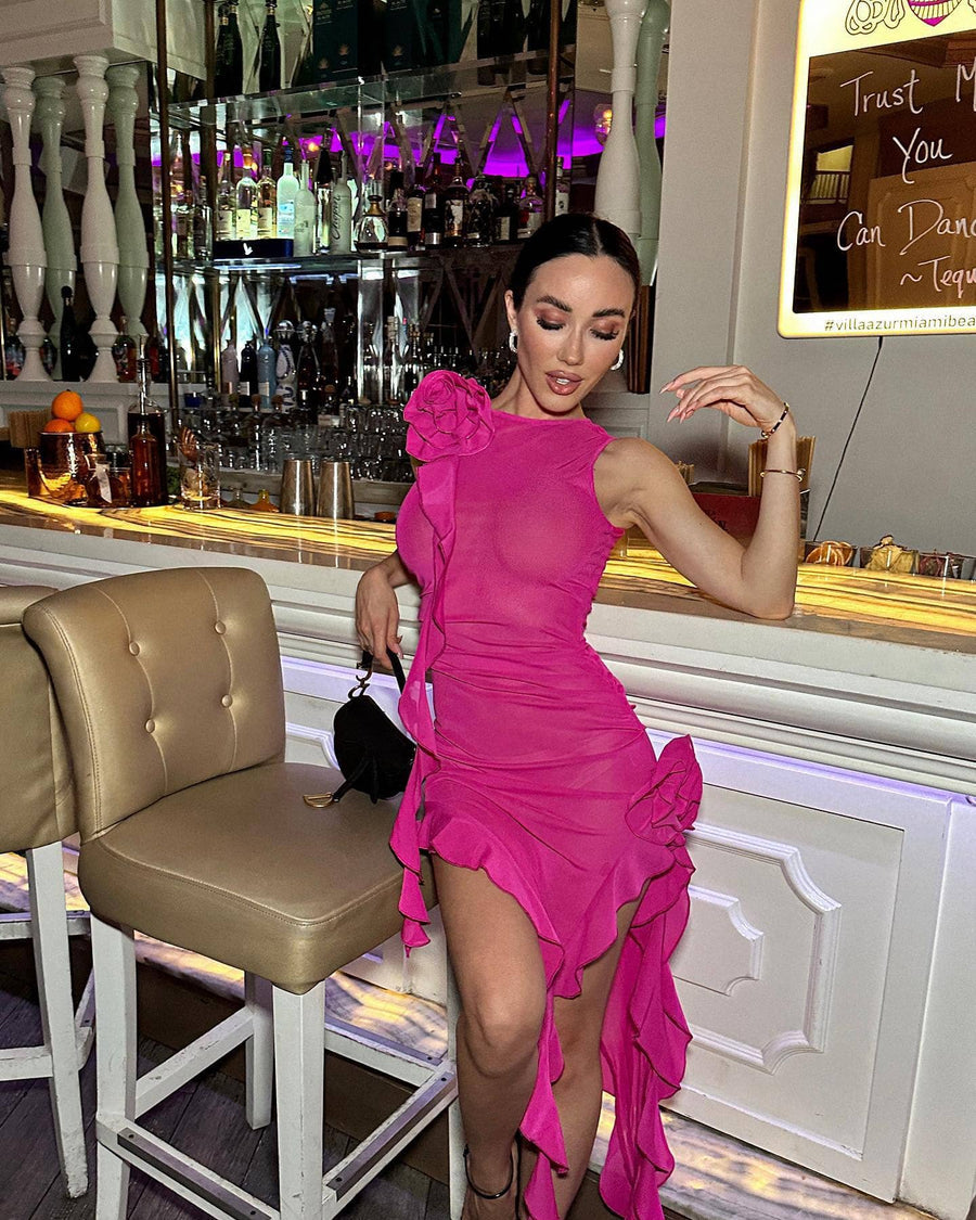 Ruffles Transparent Pink Dress