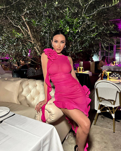 Ruffles Transparent Pink Dress