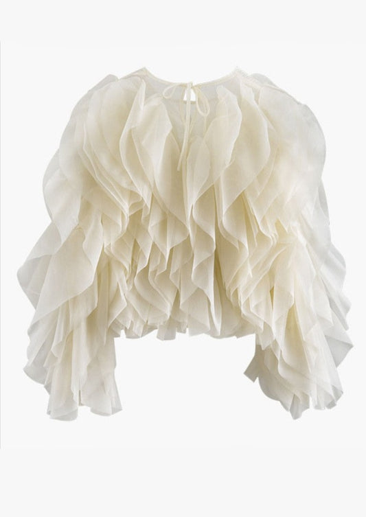 Ruffles Chiffon Blouse